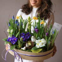 Весенний садик ПРЕМИУМ с мамой птицей и 2 птенцами (палитра микс цветов), L 40х28 см