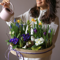 Весенний садик ПРЕМИУМ с мамой птицей и 2 птенцами (палитра микс цветов), L 40х28 см