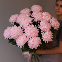 Букет ХРИЗАНТЕМЫ РОЗОВЫЕ, 15 шт. с лентой