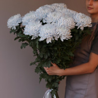 Букет ХРИЗАНТЕМЫ ГОЛУБЫЕ, 15 шт. с лентой