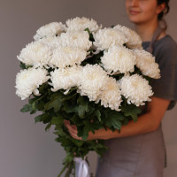 Букет ХРИЗАНТЕМЫ БЕЛЫЕ, 15 шт. с лентой