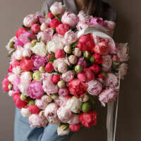 Букет ОХАПКА ПИОНОВ, 101 шт