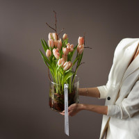 Букет в стекле ТЮЛЬПАНЫ PEACH FUZZ