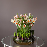 Композиция ВЕСНА СТИЛЬНАЯ