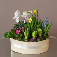 Весенний садик ПРАЙМ,  в овале S - 30х28 см