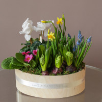 Весенний садик ПРАЙМ,  в овале S - 30х28 см