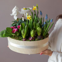 Весенний садик ПРАЙМ,  в овале S - 30х28 см