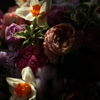 Букет с пионовидными розами, нарциссами и хлопком ЭКСПРЕССИЯ