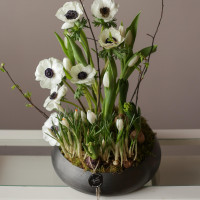 Композиция в вазе АНЕМОН