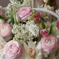 Корзина СЕНСИТИВ