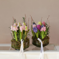 Букет * ГИАЦИНТЫ в стекле, цвет в асс.*