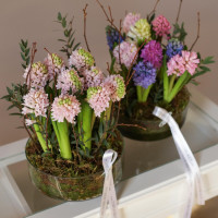 Букет * ГИАЦИНТЫ в стекле, цвет в асс.*