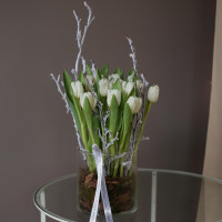 Букет в стекле * ТЮЛЬПАНЫ БЕЛЫЕ * (акция-11шт)