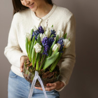 Букет в стекле тюльпаны+гиацинты (цвета в асс)