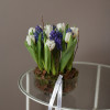 Букет в стекле тюльпаны+гиацинты (цвета в асс)