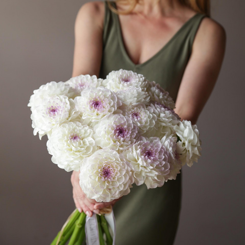 Монобукет ГЕОРГИНЫ, 15 шт