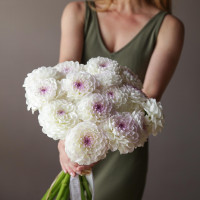 Монобукет ГЕОРГИНЫ, 15 шт