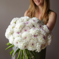 Монобукет ГЕОРГИНЫ, 35 шт