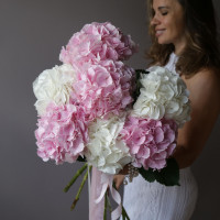 Монобукет ГОРТЕНЗИЯ бело-розовый микс, 7 шт.