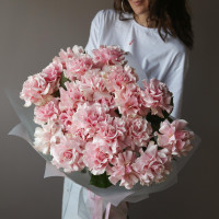 Монобукет * французских роз Пинк Мондиал *, 19 шт
