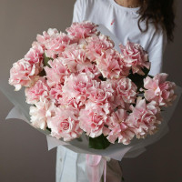Монобукет французских роз ПинкМондиал, 23 шт *