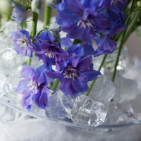 Интерьерная композиция ГДЕ ЖИВУТ ГРЕЗЫ