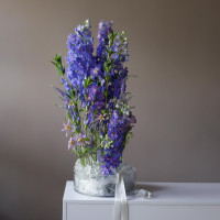 Интерьерная композиция ГДЕ ЖИВУТ ГРЕЗЫ