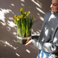 Весенний садик в стеклянном цилиндре НАРЦИССЫ