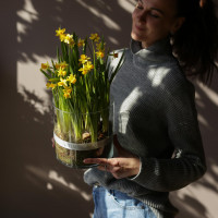 Весенний садик в стеклянном цилиндре НАРЦИССЫ