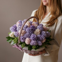 Букет *ГИАЦИНТОВ в корзине, палитра в асс*