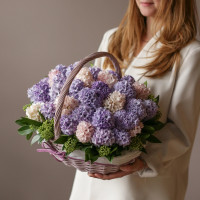 Букет *ГИАЦИНТОВ в корзине, палитра в асс*