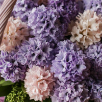 Букет *ГИАЦИНТОВ в корзине, палитра в асс*