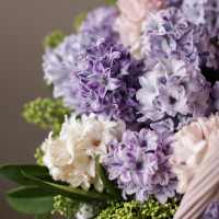 Букет *ГИАЦИНТОВ в корзине, палитра в асс*