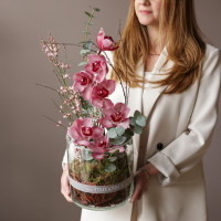 Букет в стеклянном цилиндре винная ОРХИДЕЯ