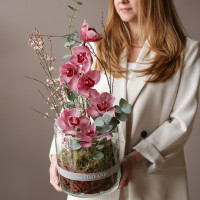 Букет в стеклянном цилиндре винная ОРХИДЕЯ