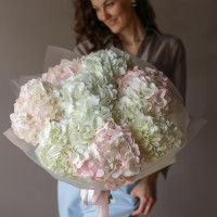 Монобукет ГОРТЕНЗИЯ МИКС, 31 шт.