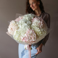 Монобукет ГОРТЕНЗИЯ МИКС, 31 шт.