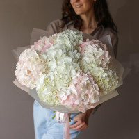 Монобукет ГОРТЕНЗИЯ МИКС, 31 шт.