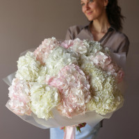 Монобукет ГОРТЕНЗИЯ МИКС, 15 шт.