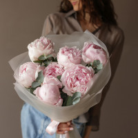 Монобукет * ПИОНЫ * 7 шт