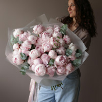 Монобукет * ПИОНЫ * 31 шт