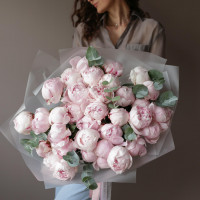 Монобукет * ПИОНЫ * 31 шт