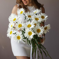 Монобукет РОМАШКИ, 15 шт