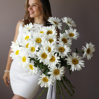 Монобукет РОМАШКИ, 25 шт