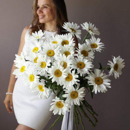 Монобукет РОМАШКИ, 25 шт