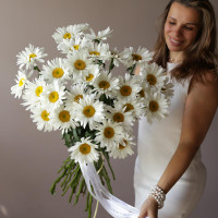 Монобукет РОМАШКИ, 31 шт
