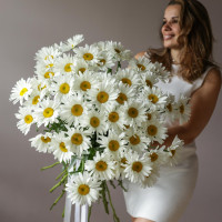 Монобукет РОМАШКИ, 51 шт