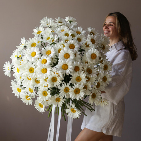 Монобукет РОМАШКИ, 101 шт