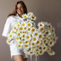 Монобукет РОМАШКИ, 101 шт