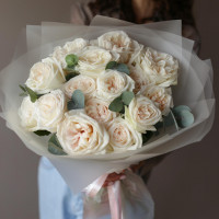 Монобукет РОЗЫ ВАЙТ ОХАРА, 15 шт